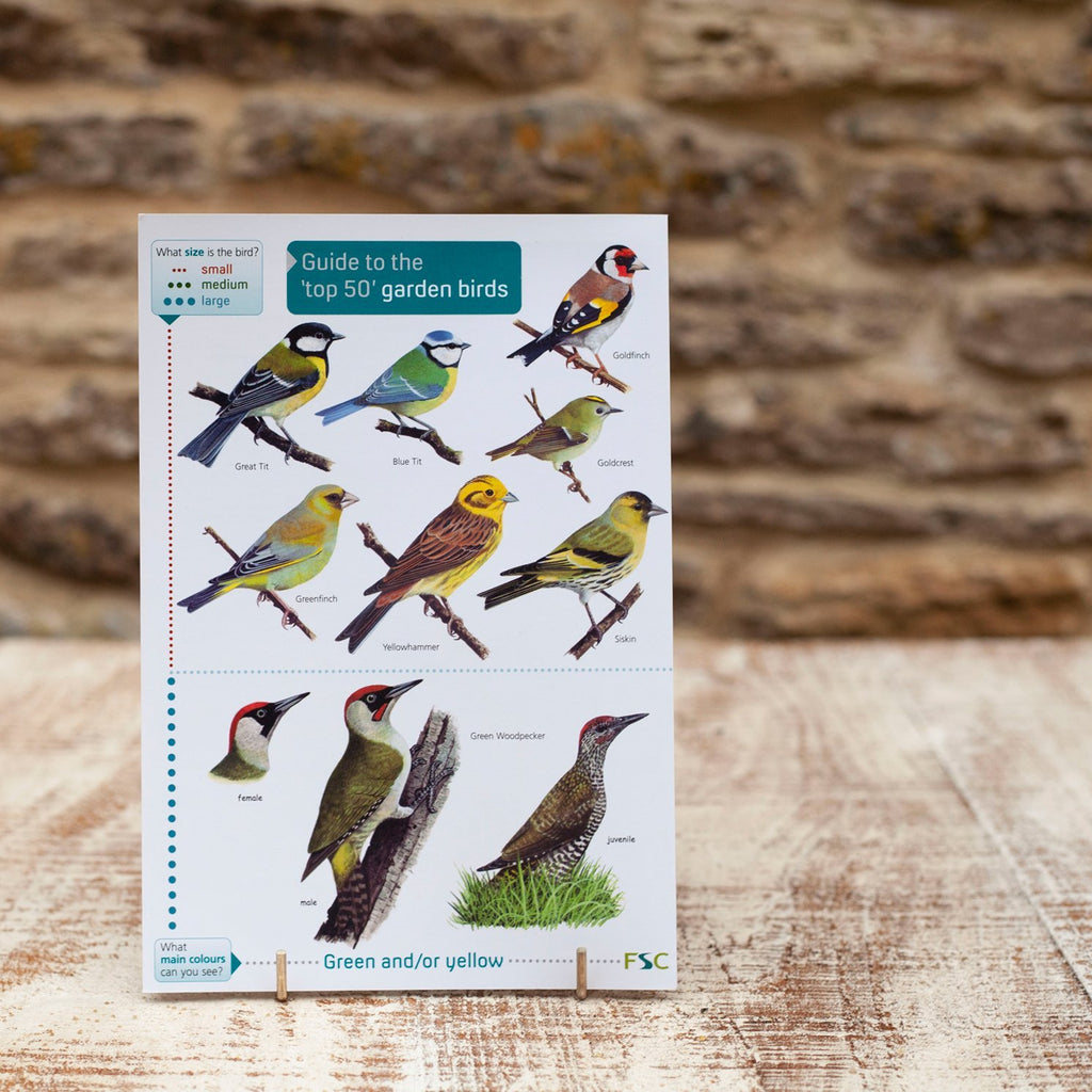 Field Guide Top 50 Garden Birds