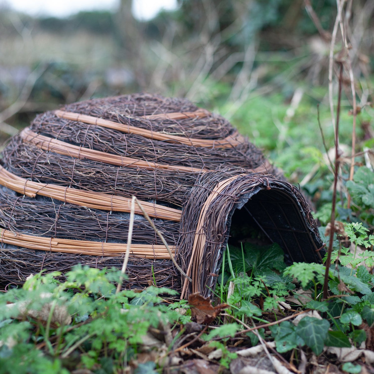 Igloo Hedgehog Home The Wildlife Community