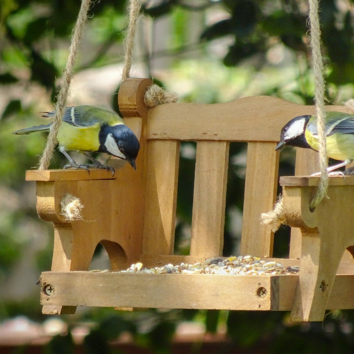 Bird swing 2024 diy