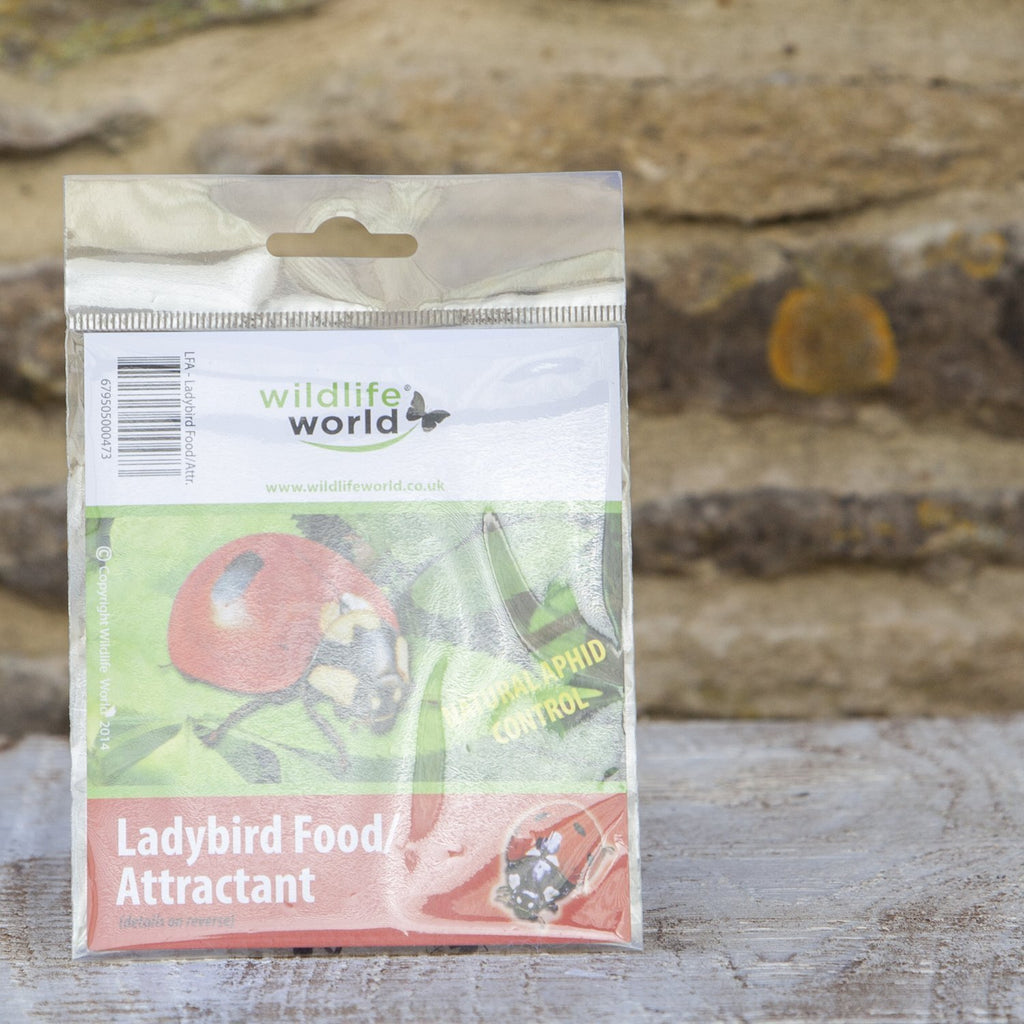 Ladybird Food/Attractant Wildlife World