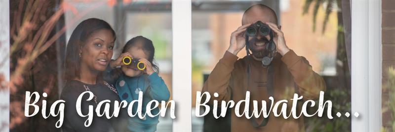 Join the RSPB Big Garden Birdwatch 2025: Your Ultimate Guide