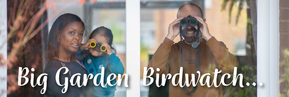 Big Garden Birdwatch 2024