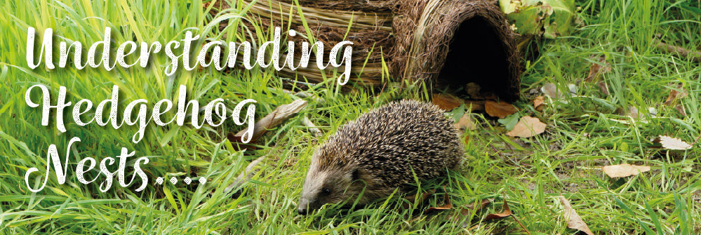 Understanding Hedgehog Nests: A Crucial Role for Artificial Homes