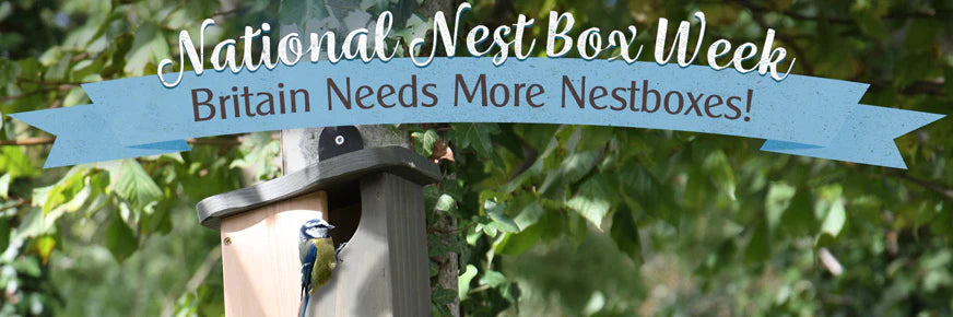National Nest Box Week 2021