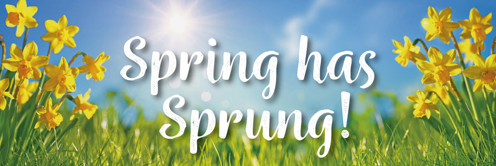 Spring has Sprung!