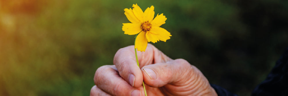 How To Spread Joy To Wildlife On World Kindness Day