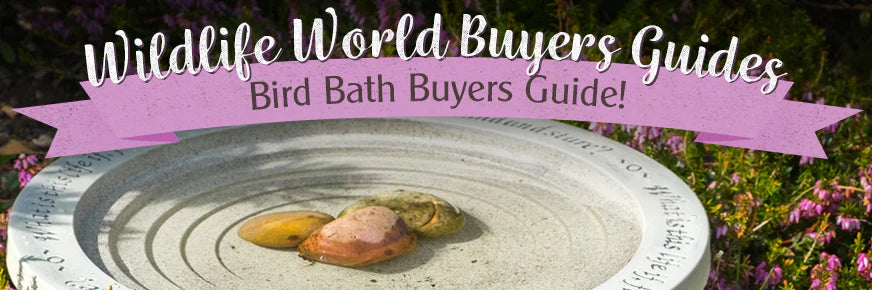 Bird Bath Buyers Guide
