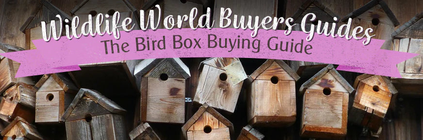 Bird Box Buyers Guide