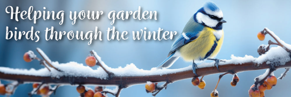 Helping your Garden Birds through the Winter