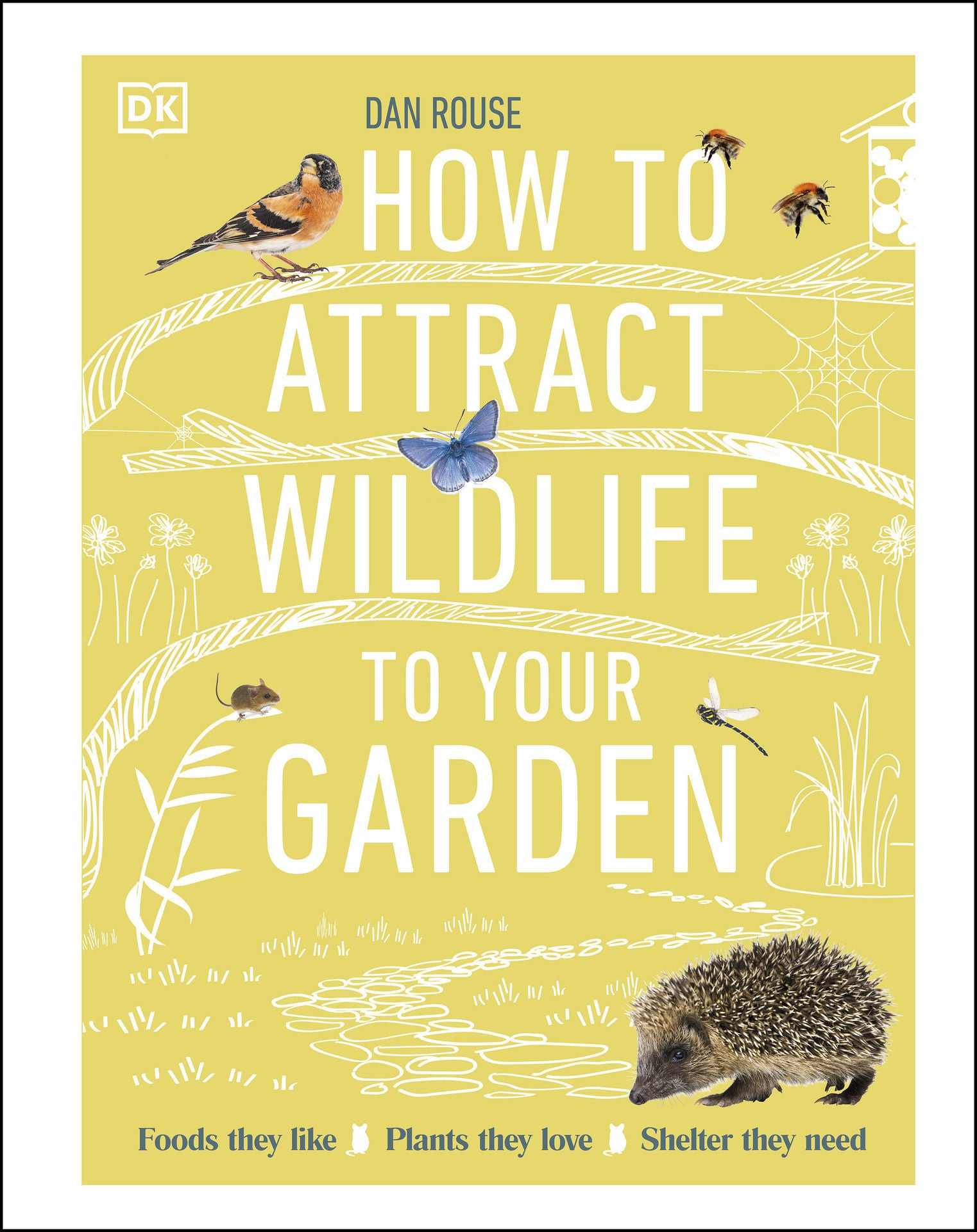 How to attract birds to your garden - Discover Wildlife