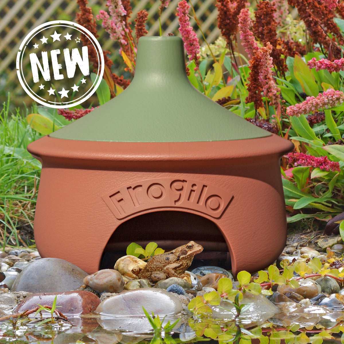 Frogilo - Frog and Toad House Made in the UK