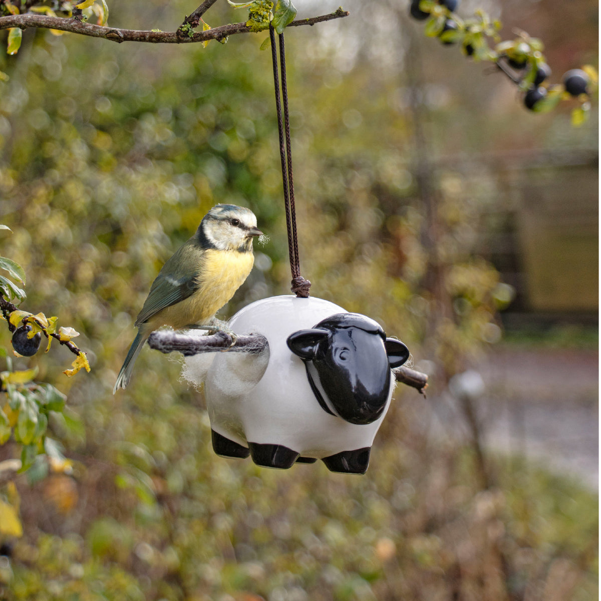 Hanging Ceramic Sheep With Nesting Wool | The Wildlife Community