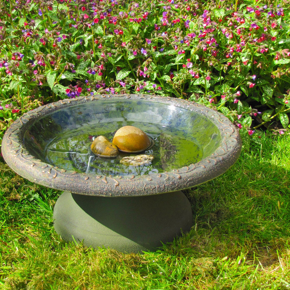 Coniston Bird Bath | The Wildlife Community