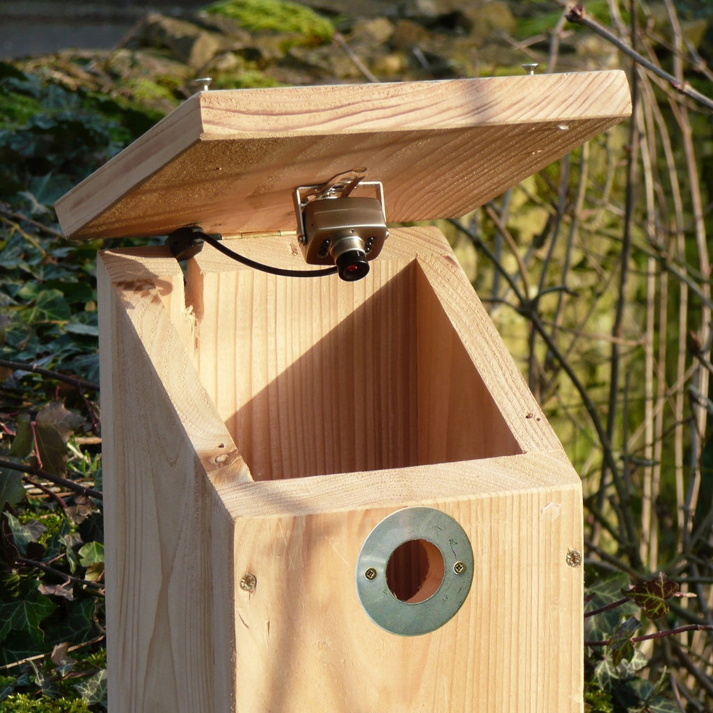Wildlife World Camera Ready Bird Nest Box