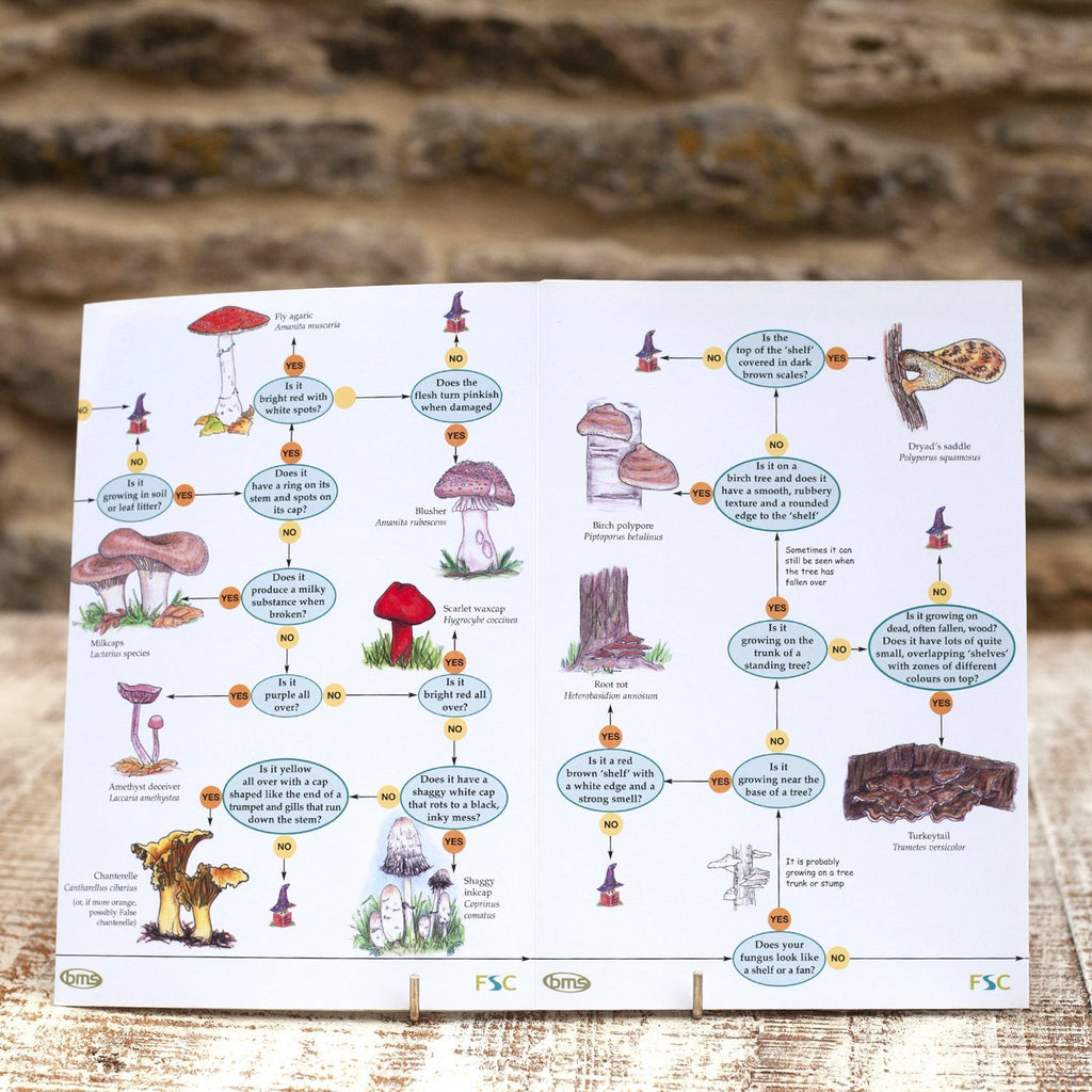 Buy Fungi Name Trail Field Guide online