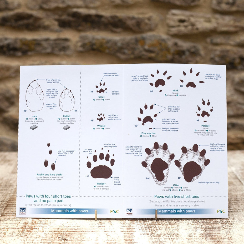 Buy Mammal Tracks and Signs Field Guide online