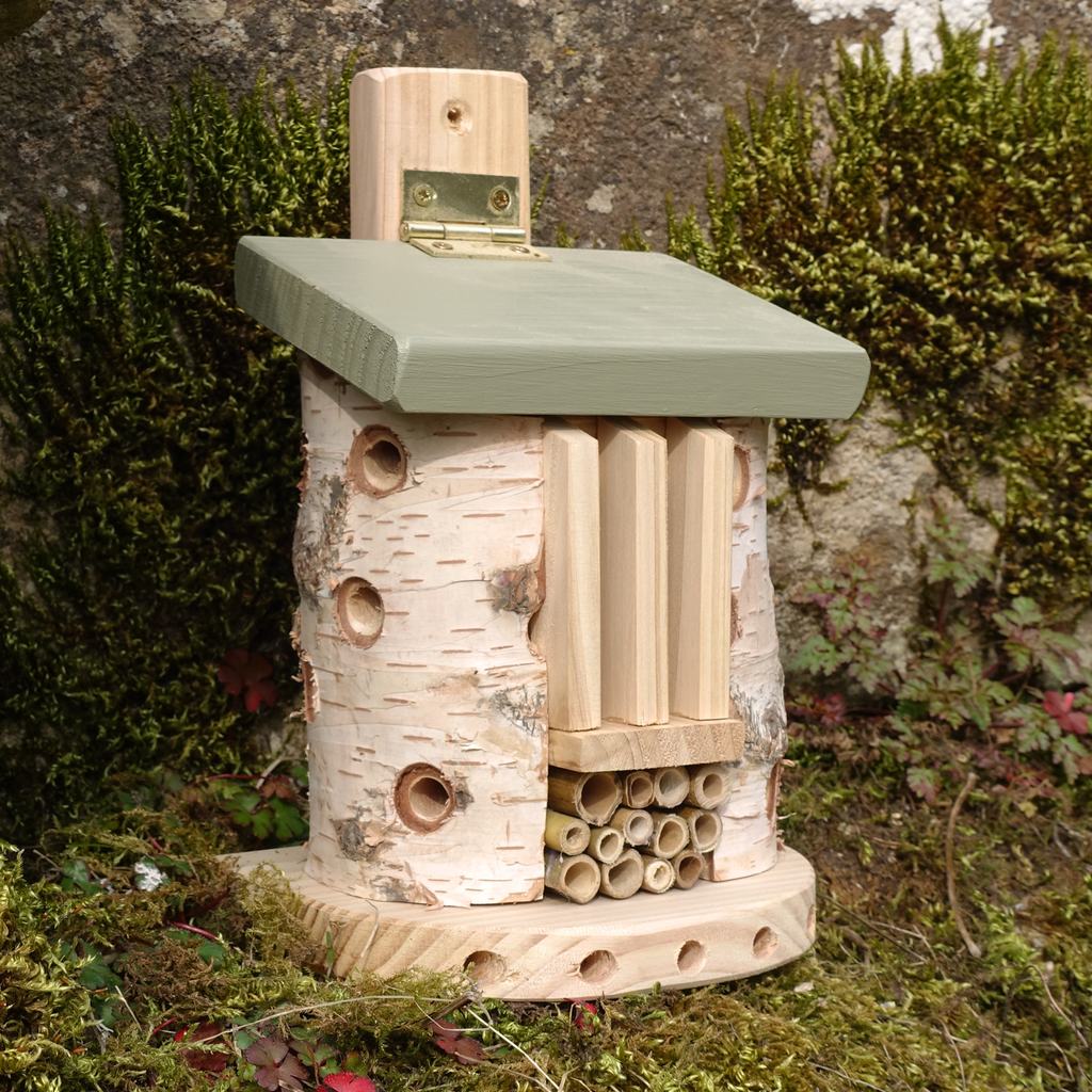 Beneficial Insects | The Wildlife Community