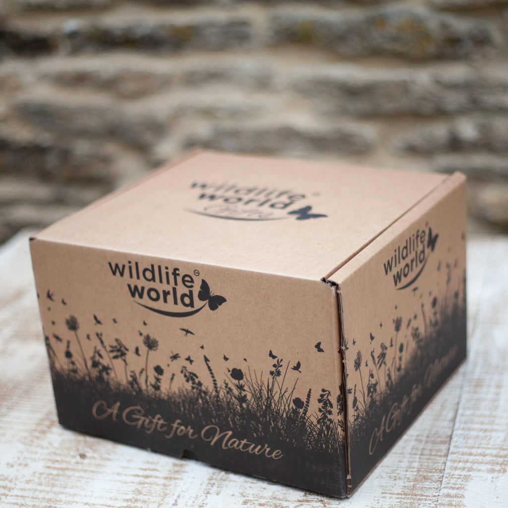 Wildlife World Gift Box