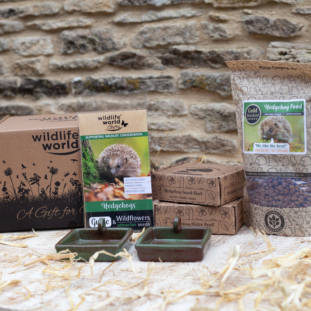 For the Love of Hedgehogs Gift Bundle at Wildlife World