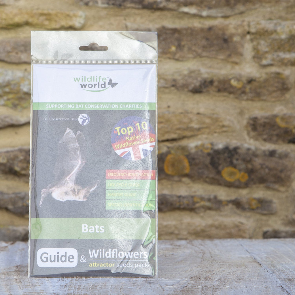 Wildlife World Bats Guide and Wildflower