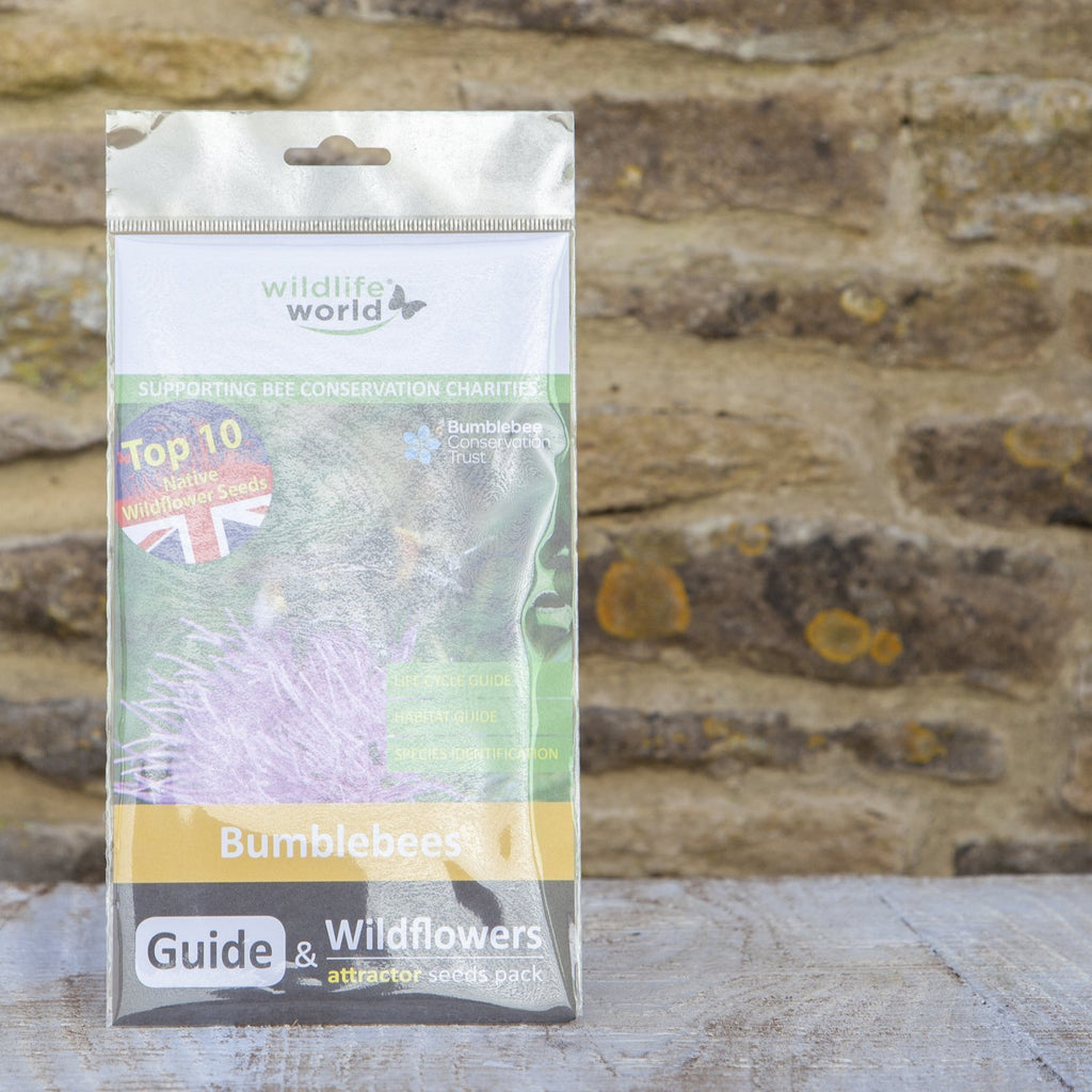 Wildlife World Bumblebees Guide with Wildflower Seeds