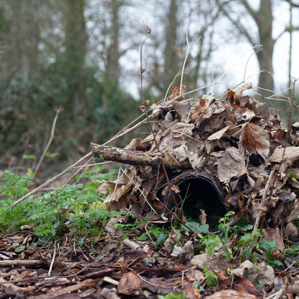 Hedgehog Shelter with cover
