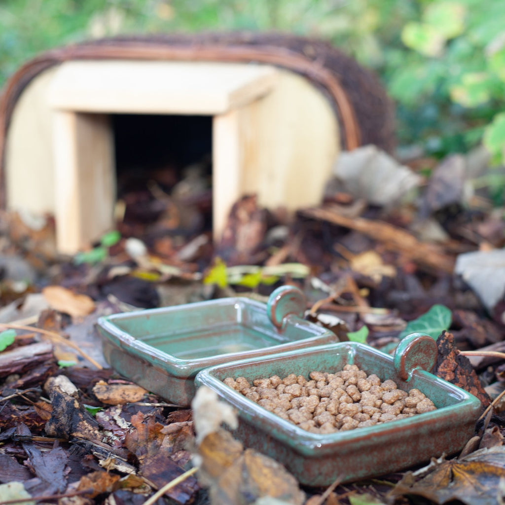Hedgehog Snack and Water Bowls at Wildlife World