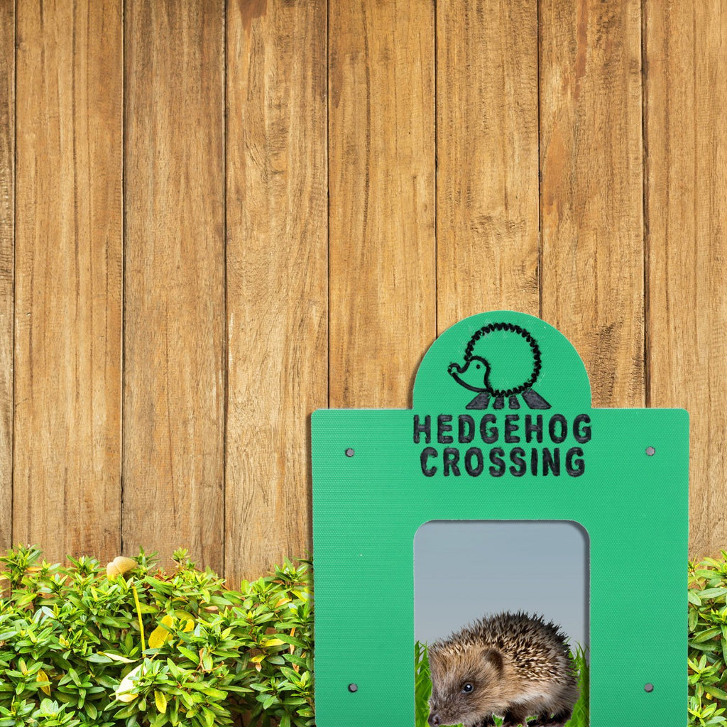 Wildlife World Hedgehog crossing