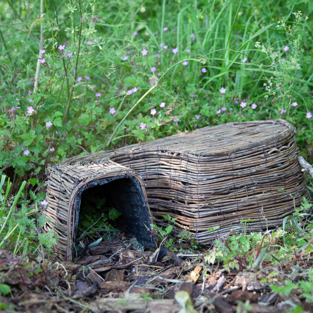 Hedgehog House Retreat with tunnel