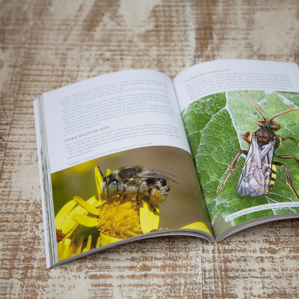 The Secret Lives of Garden Bees by Jean Vernon at Wildlife World