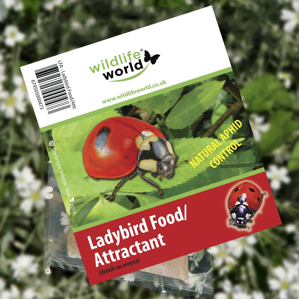 Wildlife World Ladybird Food/Attractant