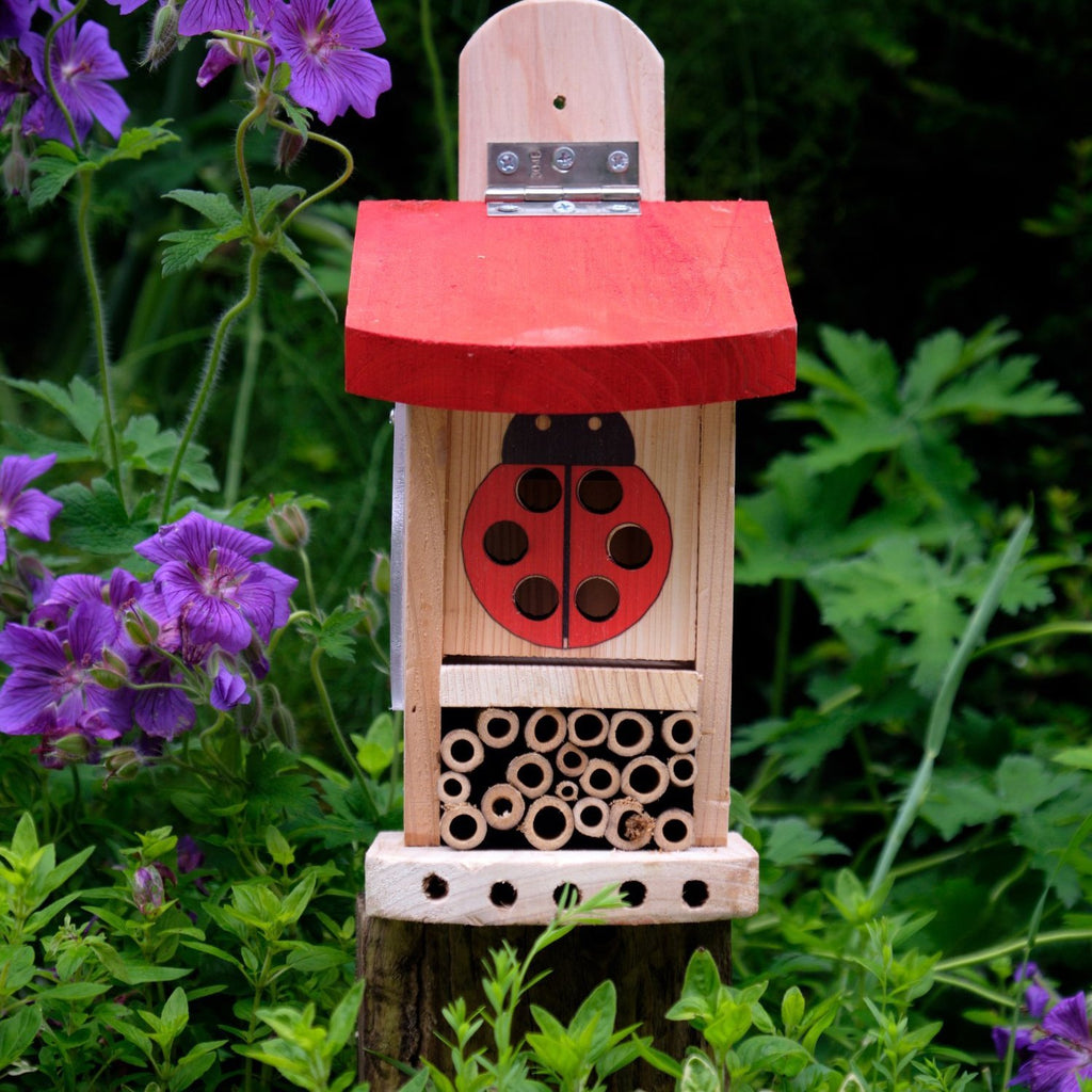 Wildlife World Ladybird & Insect Lodge