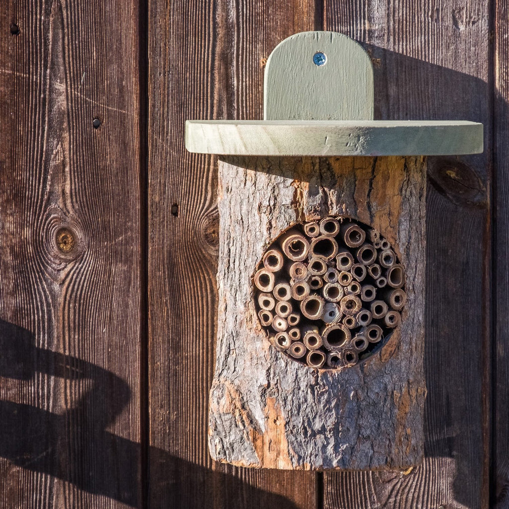 Wildlife World Natural Log Bee Home