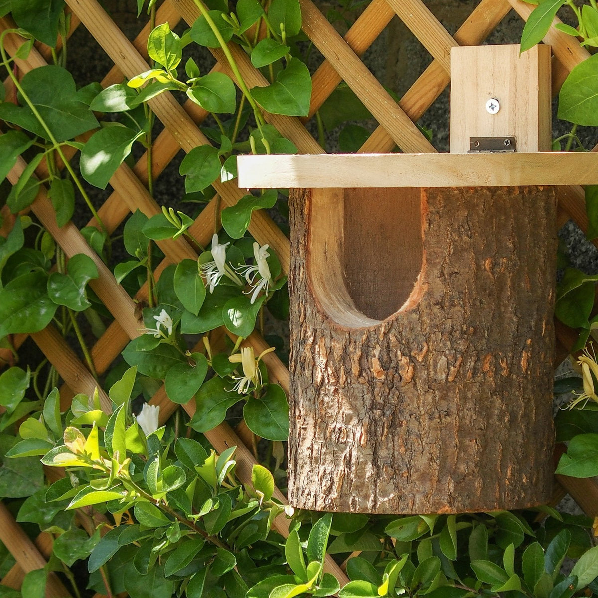 Natural Log Robin Nest Box | Wildlife World