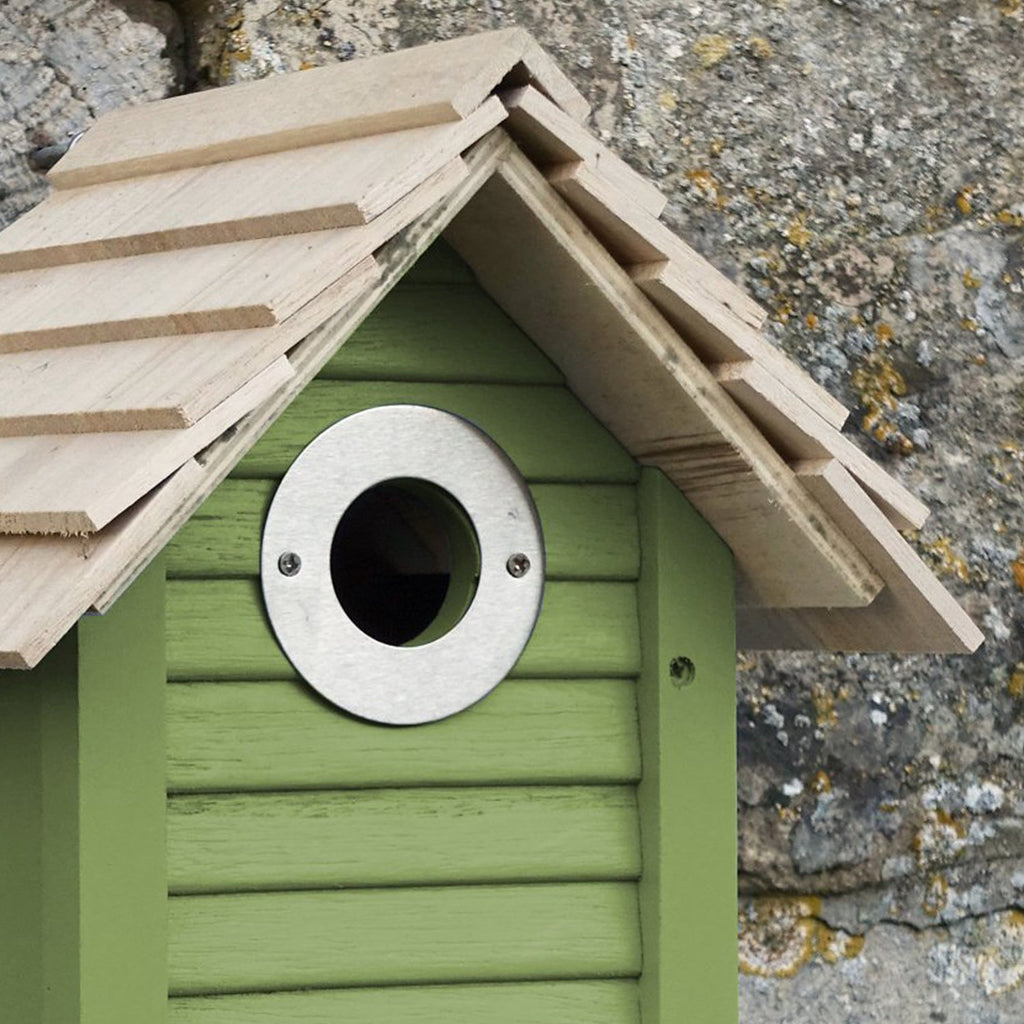 Hole Protector on Bird Nest Box