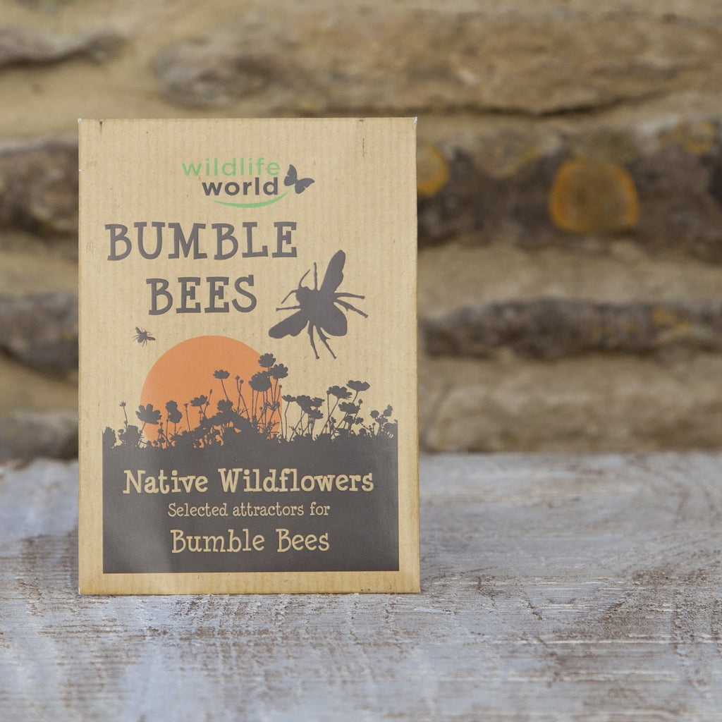 Native Wildflower Seeds for Bumblebees at Wildlife World