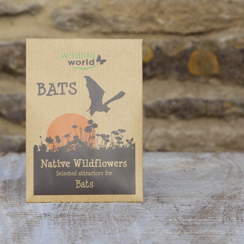 Native Wildflower Seeds for Bats at Wildlife World