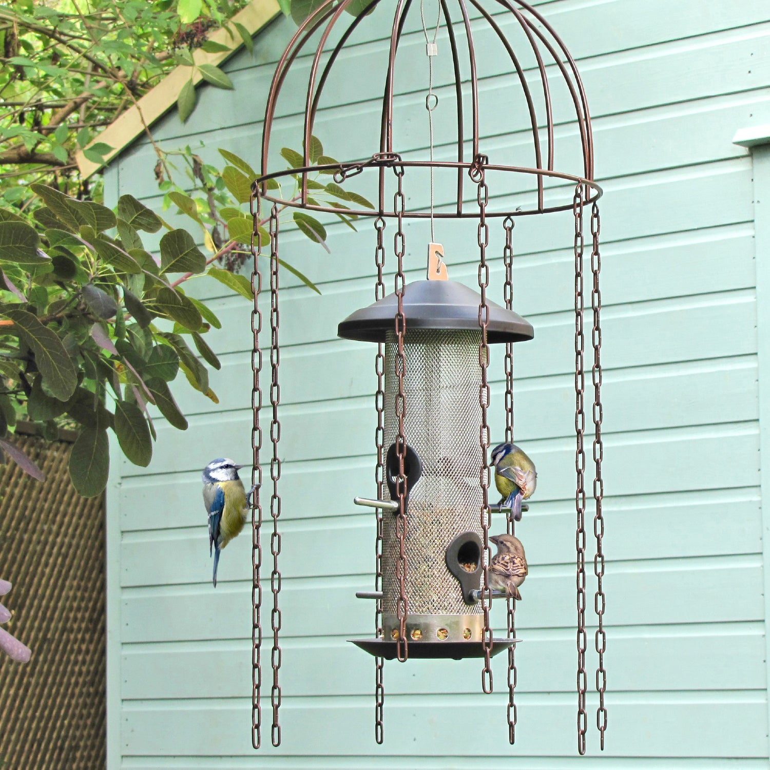 Simon King Medusa Feeder Defender - A Bird Feeder Protector