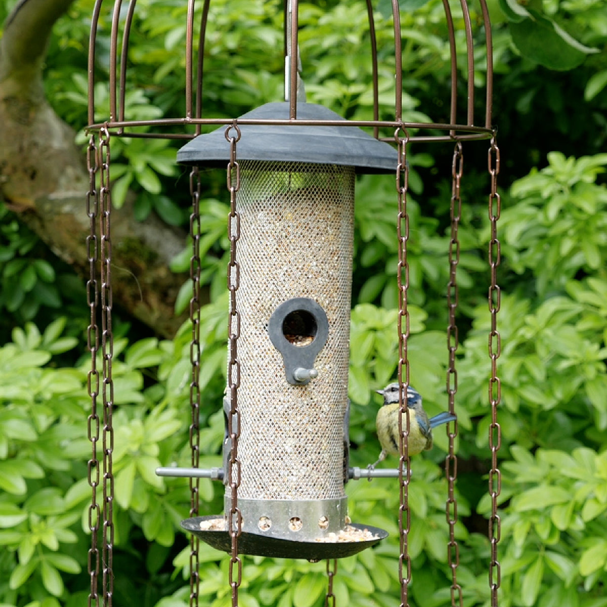 Dome Bird Rain Dome - Cone-Shaped Baffle, Hooked Shield, Protector Squirrel Baffle
