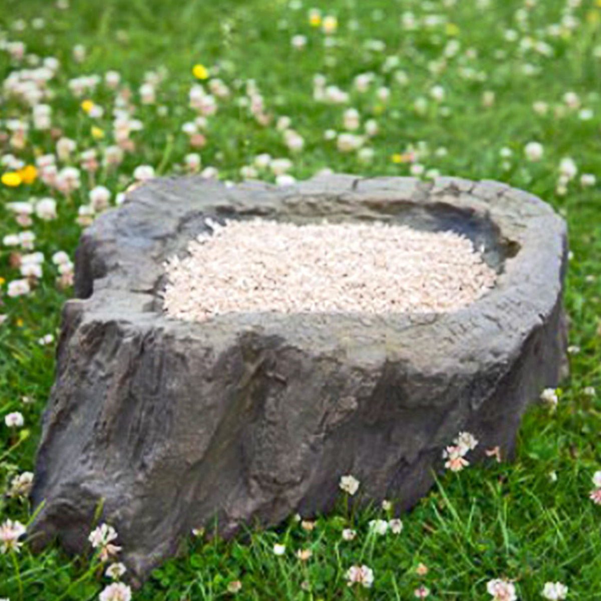 Simon King Wildlife Ground Feeder The Wildlife Community