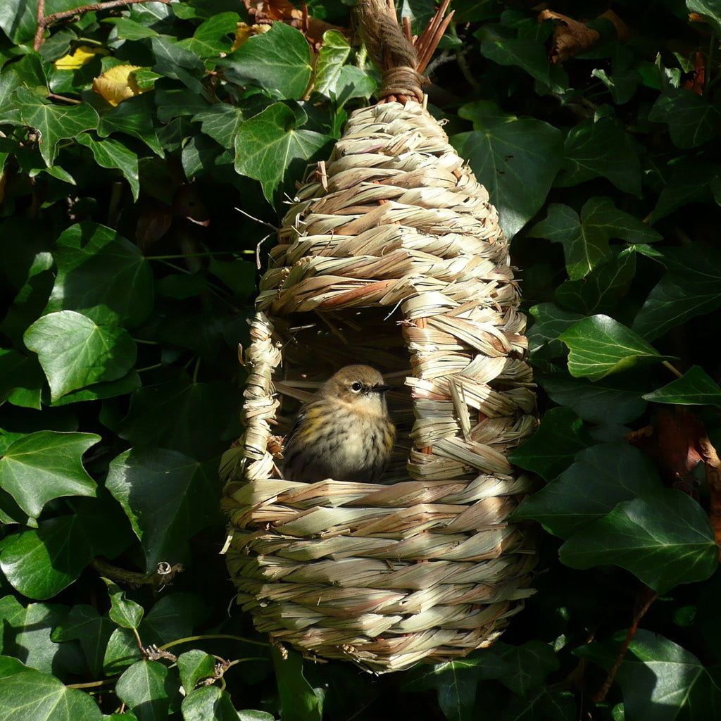 Wildlife World Tall Nest Pocket