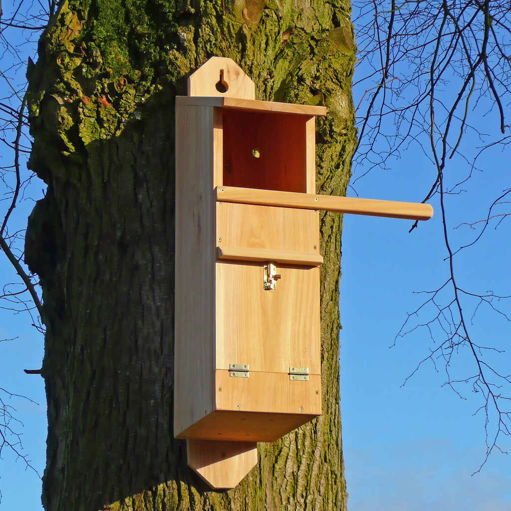 Tawny Owl Nest Box