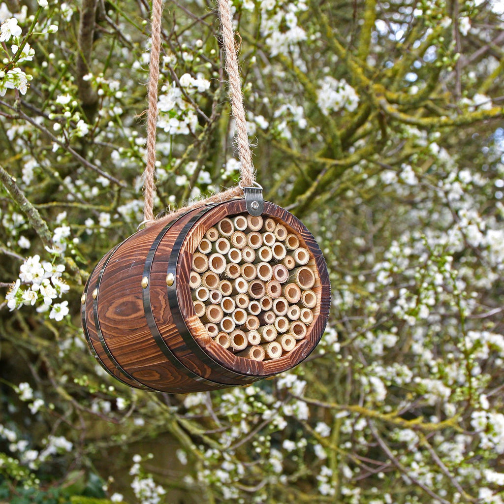 Hanging Bee Barrel