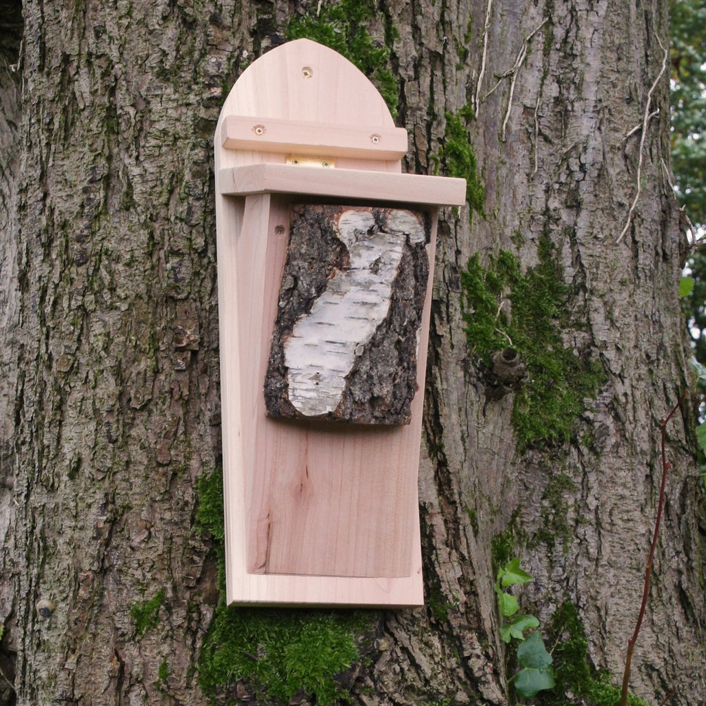 Tree Creeper Bird Box on tree