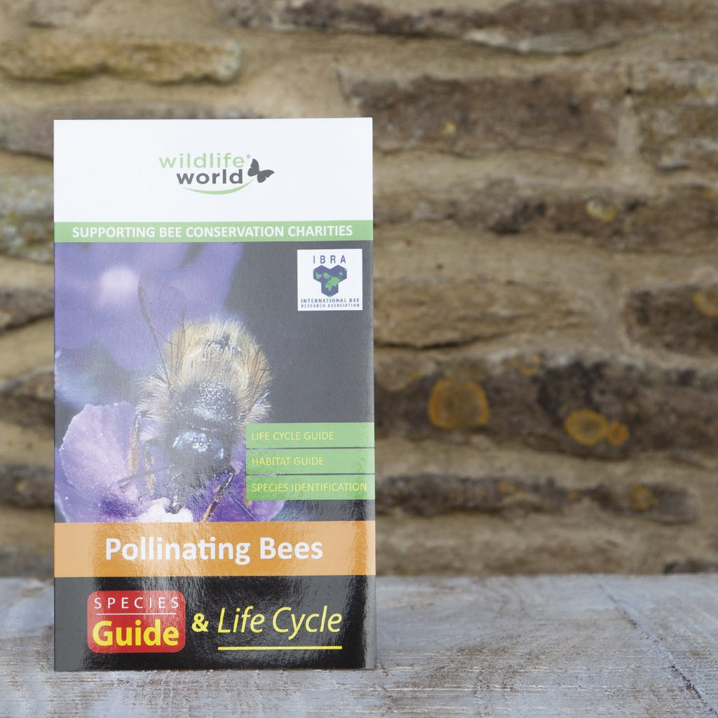 UK Guide to Pollinating Bees Wildlife World