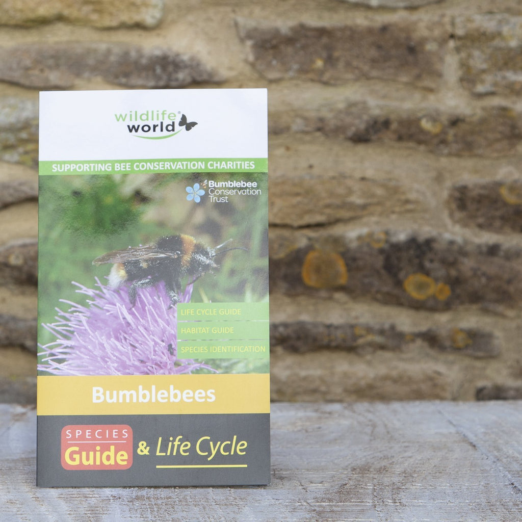 UK Guide to Bumblebees Wildlife World