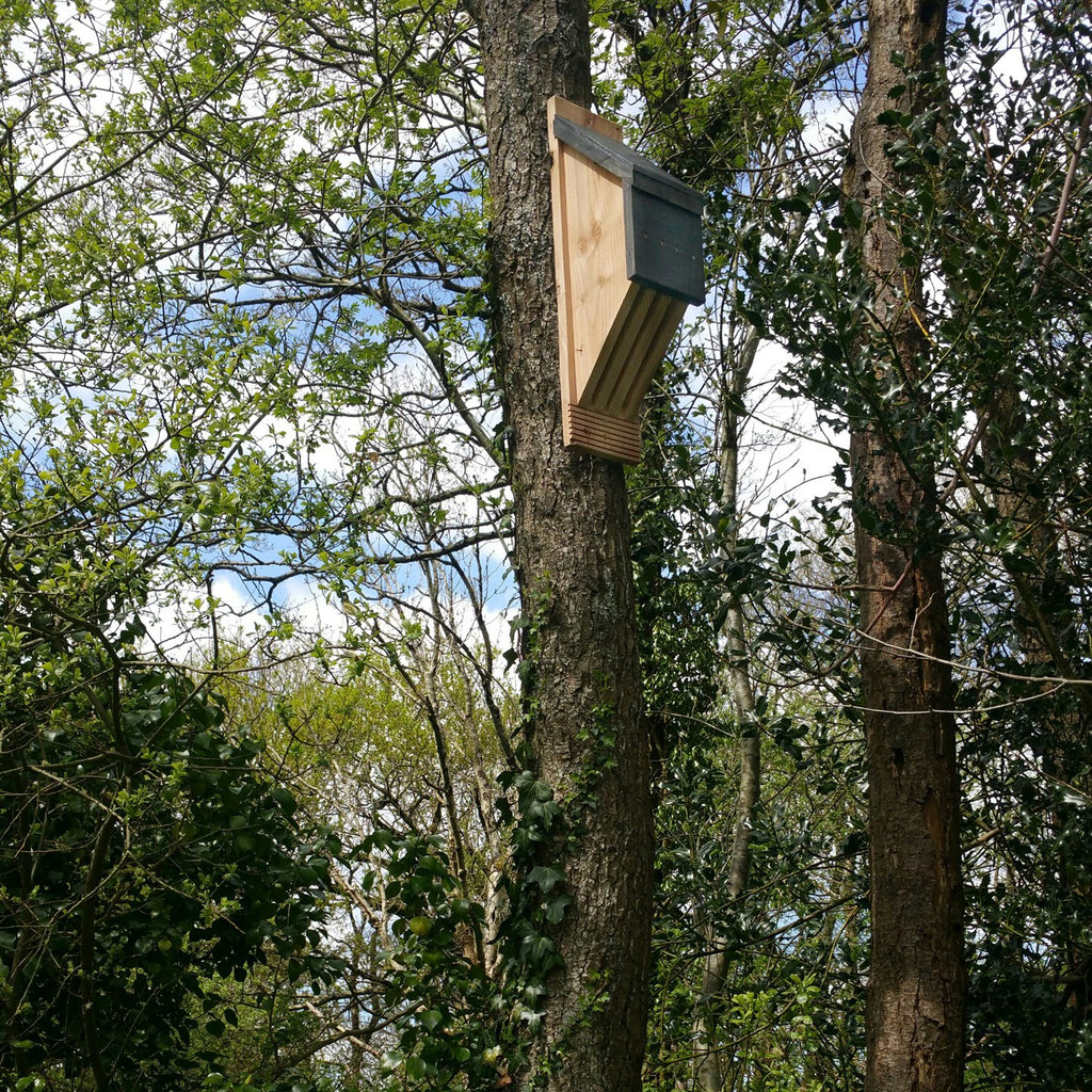 Vincent Pro Bat Box in tree