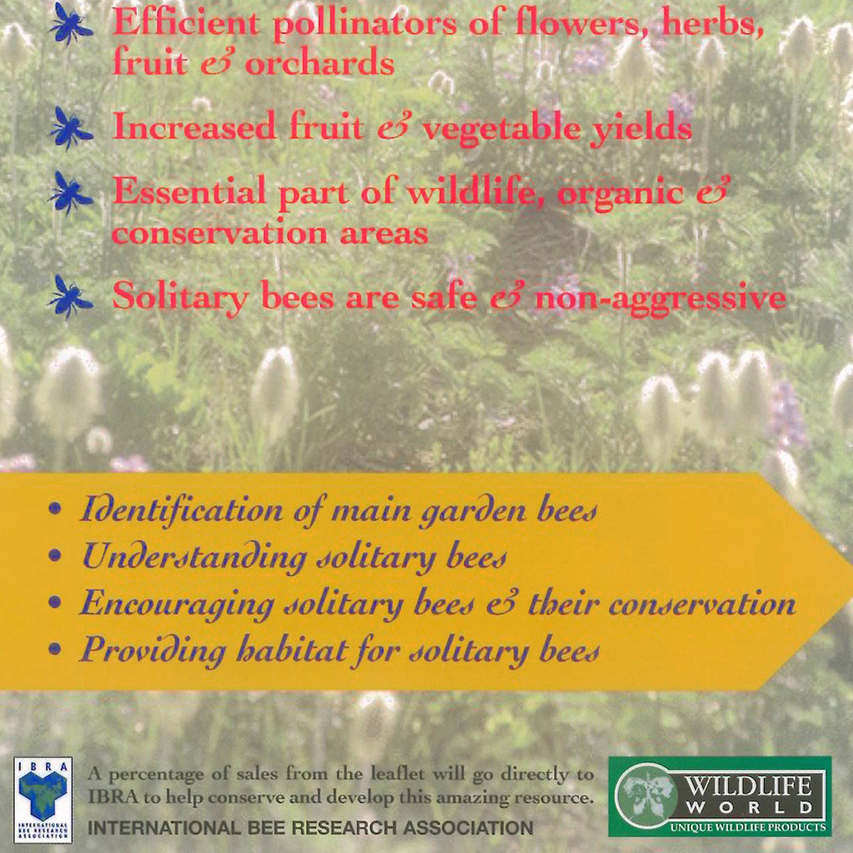 Solitary Bee Guide