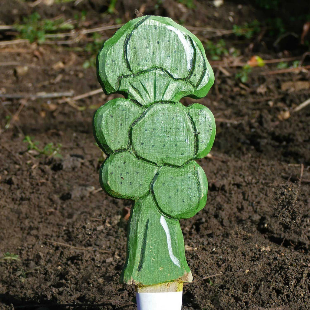 Broccoli Garden Seed Marker