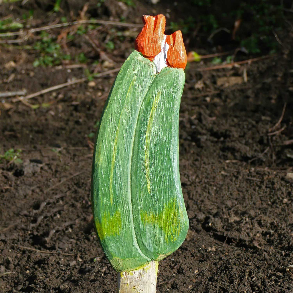 Courgette Garden Seed Marker